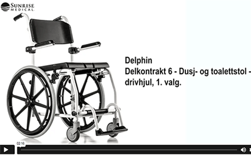 Delphin Introduksjon